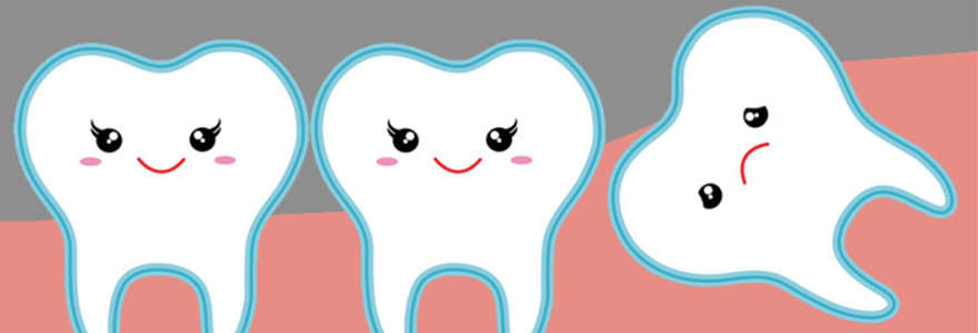 How Many Wisdom Teeth Does a Person Have?